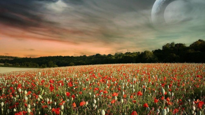 被称为「人间尤物」的女主，有多绝？